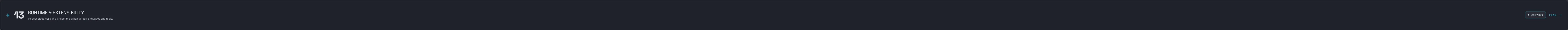 SECTION 13 · RUNTIME & EXTENSIBILITY